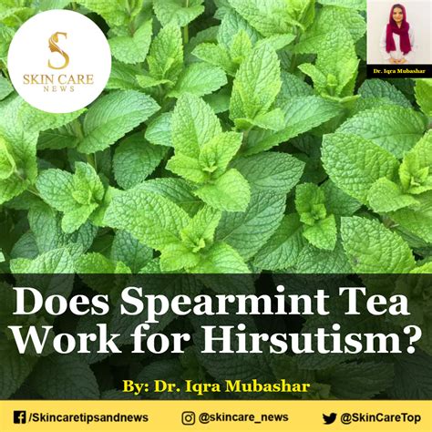 spearmint oil for hirsutism|does spearmint tea reduce testosterone.